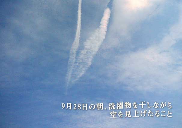 a0029899_3103038.jpg