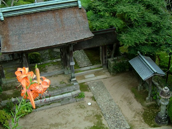 a0018608_227161.jpg