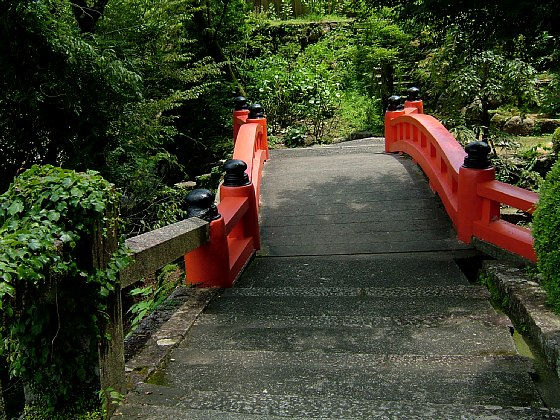 a0018608_2293131.jpg