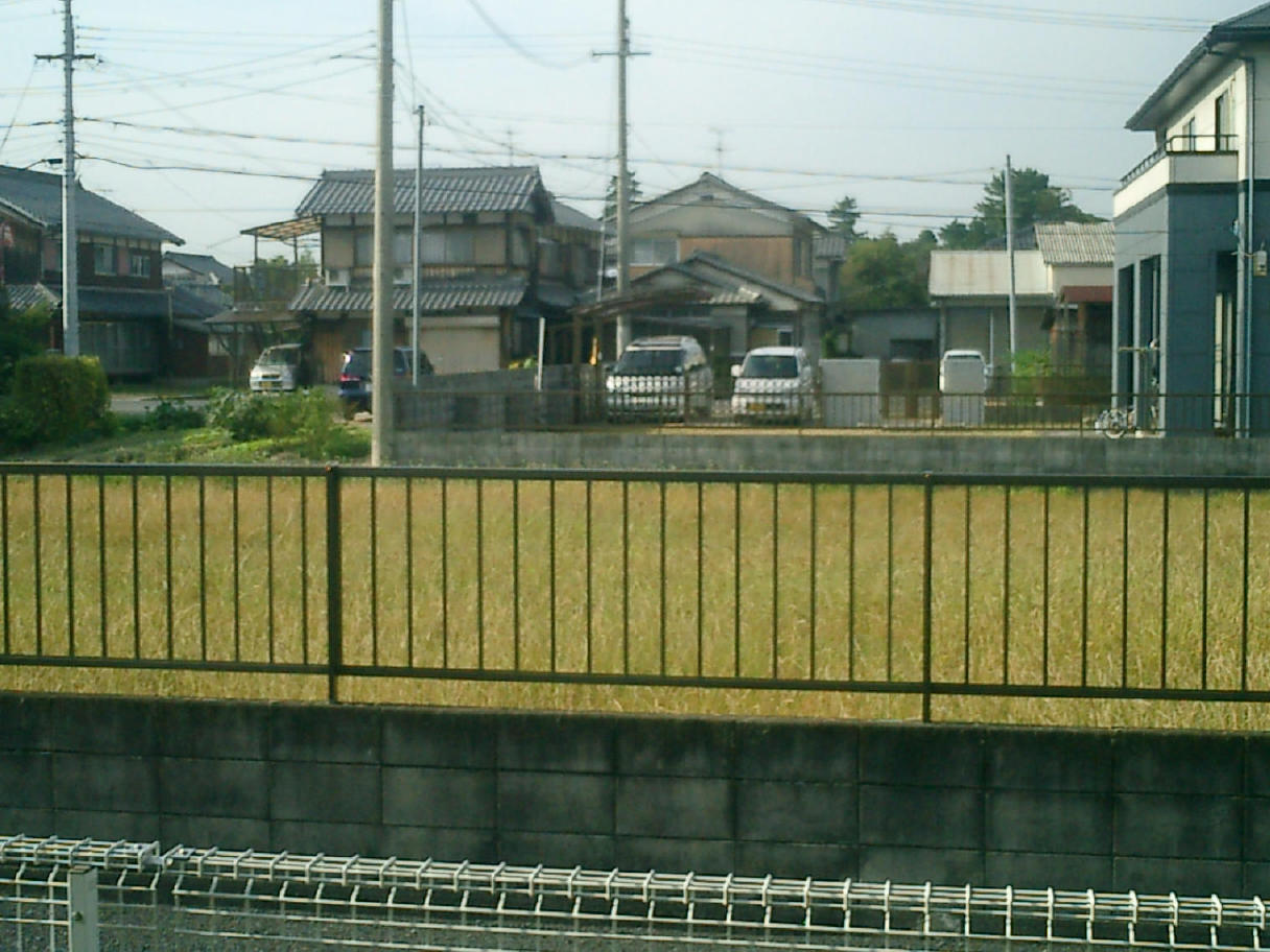 b0077408_11403477.jpg