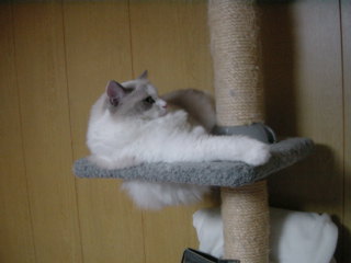 c0024410_0385679.jpg