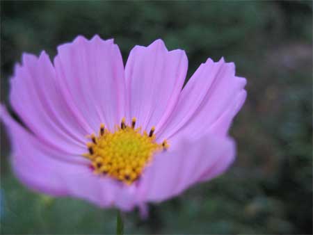 f0038819_013169.jpg