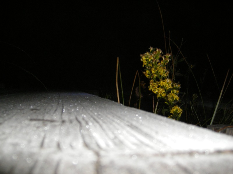 b0062024_1913587.jpg