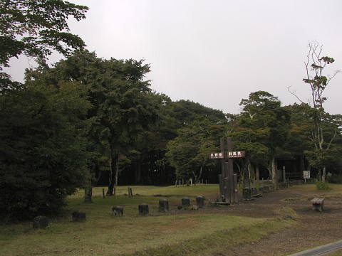 d0046531_002611.jpg