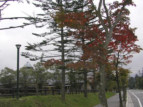 d0046531_0114584.jpg