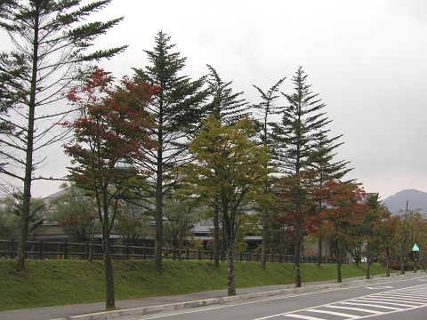 d0046531_054327.jpg
