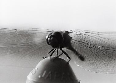 d0079936_18162780.jpg