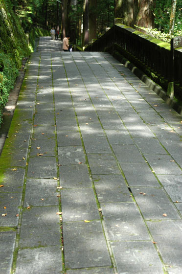 f0071242_20353159.jpg