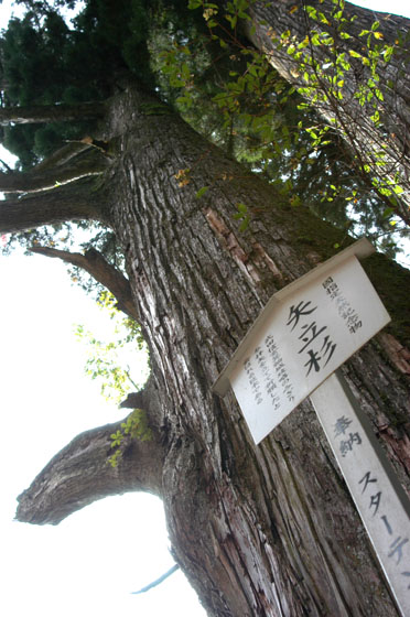 f0071242_20372959.jpg