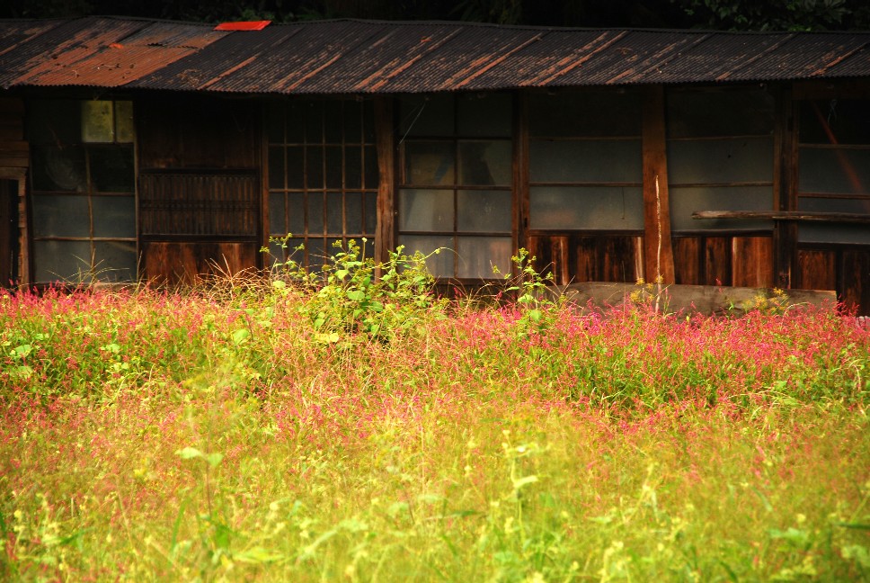 e0009147_15512.jpg