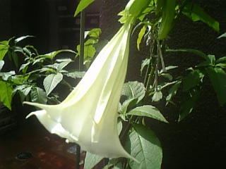 f0053847_23274792.jpg