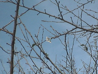 e0019550_2041453.jpg