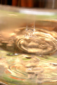 f0077357_16235041.jpg