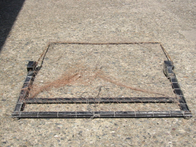 d0094868_20533375.jpg