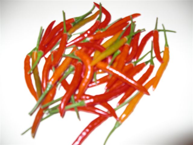 f0104169_1856941.jpg