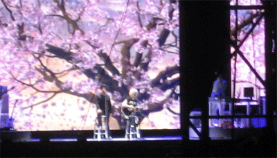 d0035670_1181145.gif