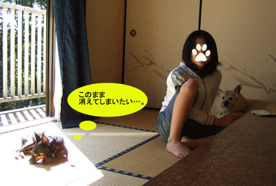 c0012571_18523776.gif