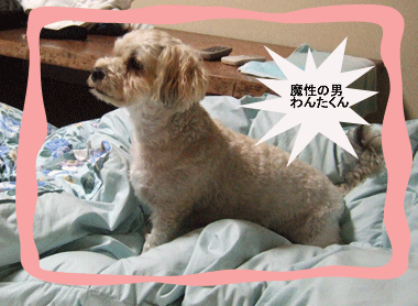 c0012571_18531510.gif