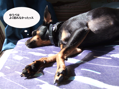 c0012571_18535411.gif