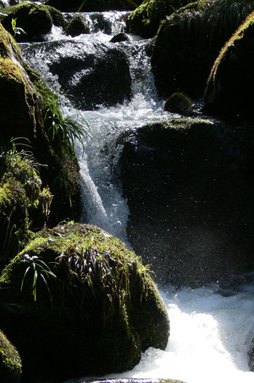 b0072176_15142975.jpg