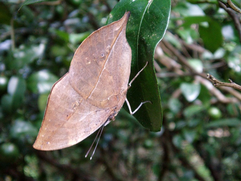 f0083281_11503792.jpg