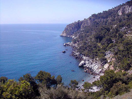e0023086_6355643.jpg