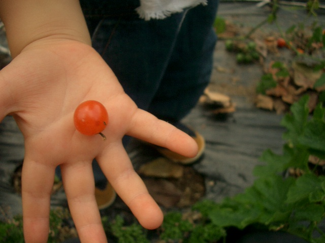 f0003788_2392536.jpg