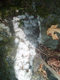 d0024504_11431221.jpg