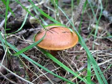 d0051707_21125889.jpg