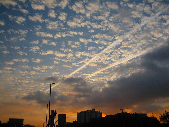 b0064411_412851.jpg