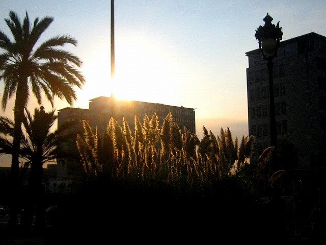 b0064411_4265683.jpg