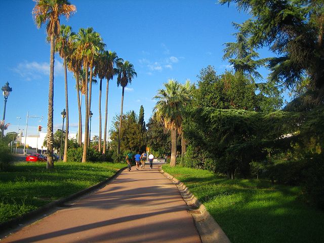b0064411_4304064.jpg