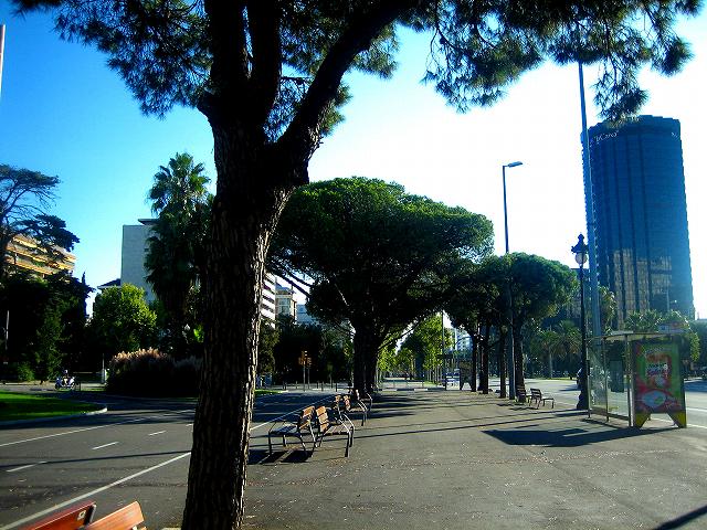 b0064411_435031.jpg