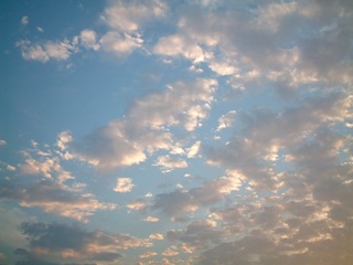f0068511_033987.jpg