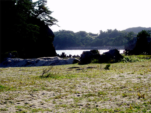 f0107517_9572457.jpg