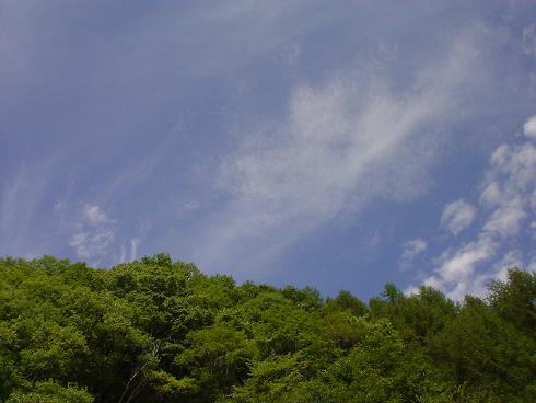 a0072319_2091367.jpg