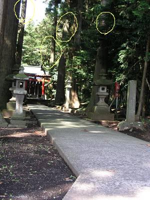 f0004019_16381356.jpg