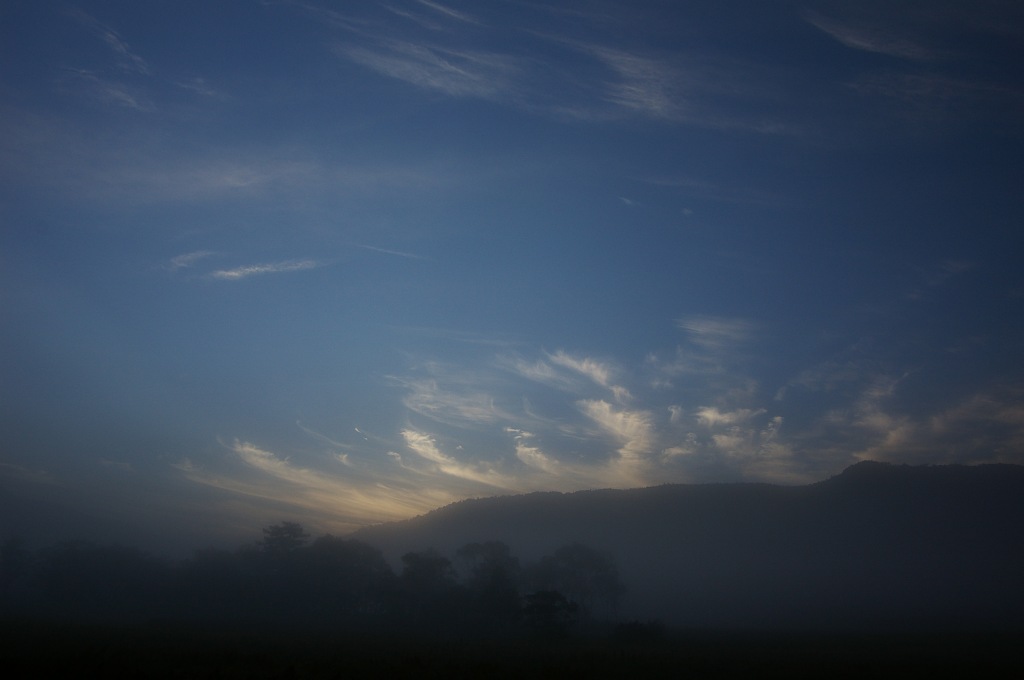 b0062024_22321321.jpg