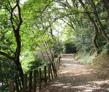 e0071225_2253930.jpg