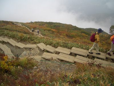 a0082026_23272521.jpg