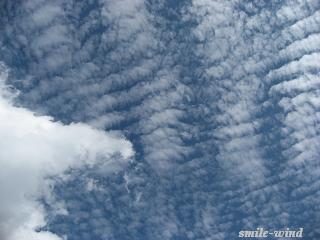 e0092926_22243978.jpg