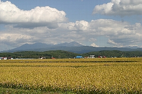 a0064927_18291056.jpg