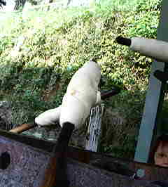 f0087228_4454066.jpg