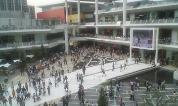 f0045530_17446.jpg
