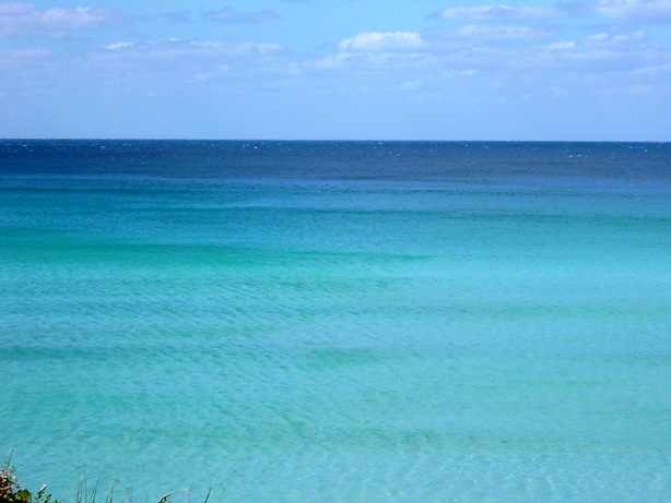 f0033041_1184669.jpg