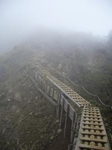 f0065941_03641100.jpg