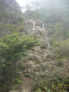 f0065941_036532.jpg