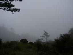 f0065941_0493115.jpg