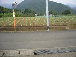 f0065941_0561189.jpg
