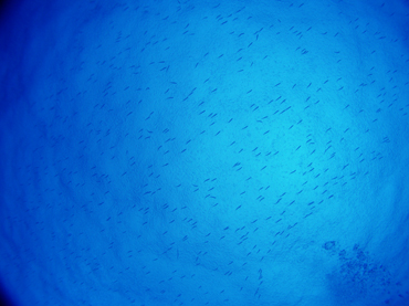 d0065247_1933496.jpg